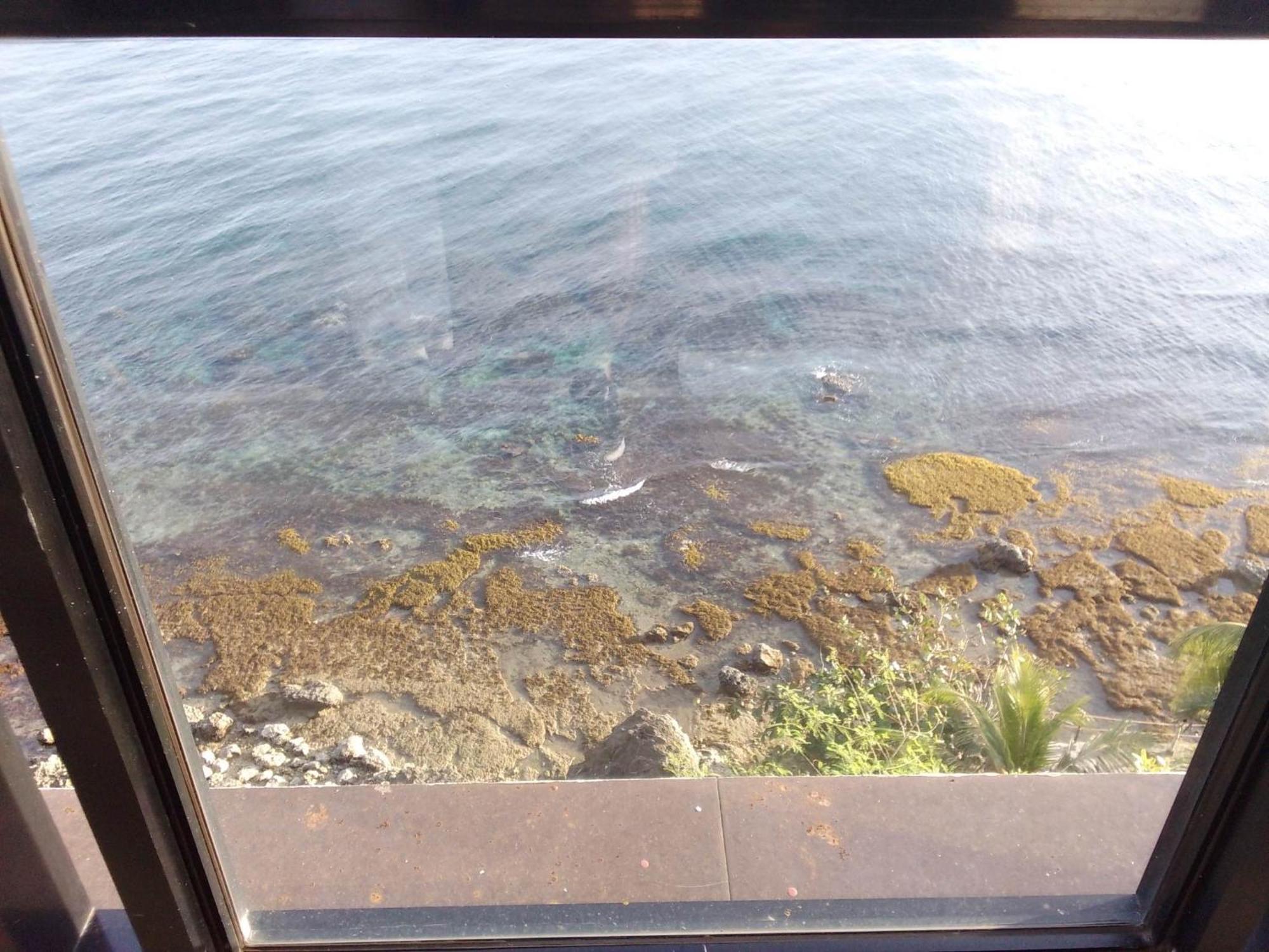 Cliff Haven Resort Jagna Dış mekan fotoğraf